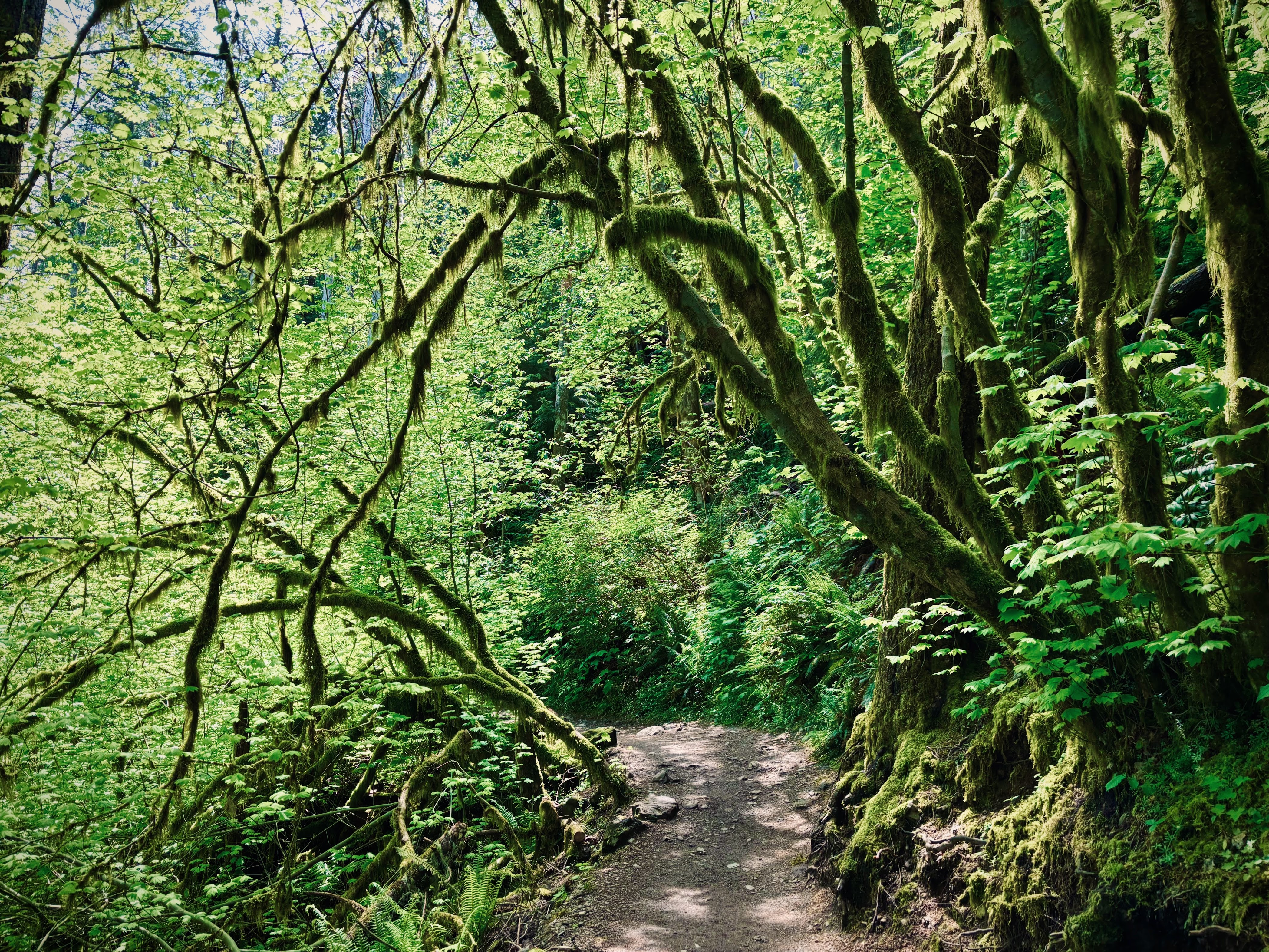 Rattlesnake Ledge, Washington