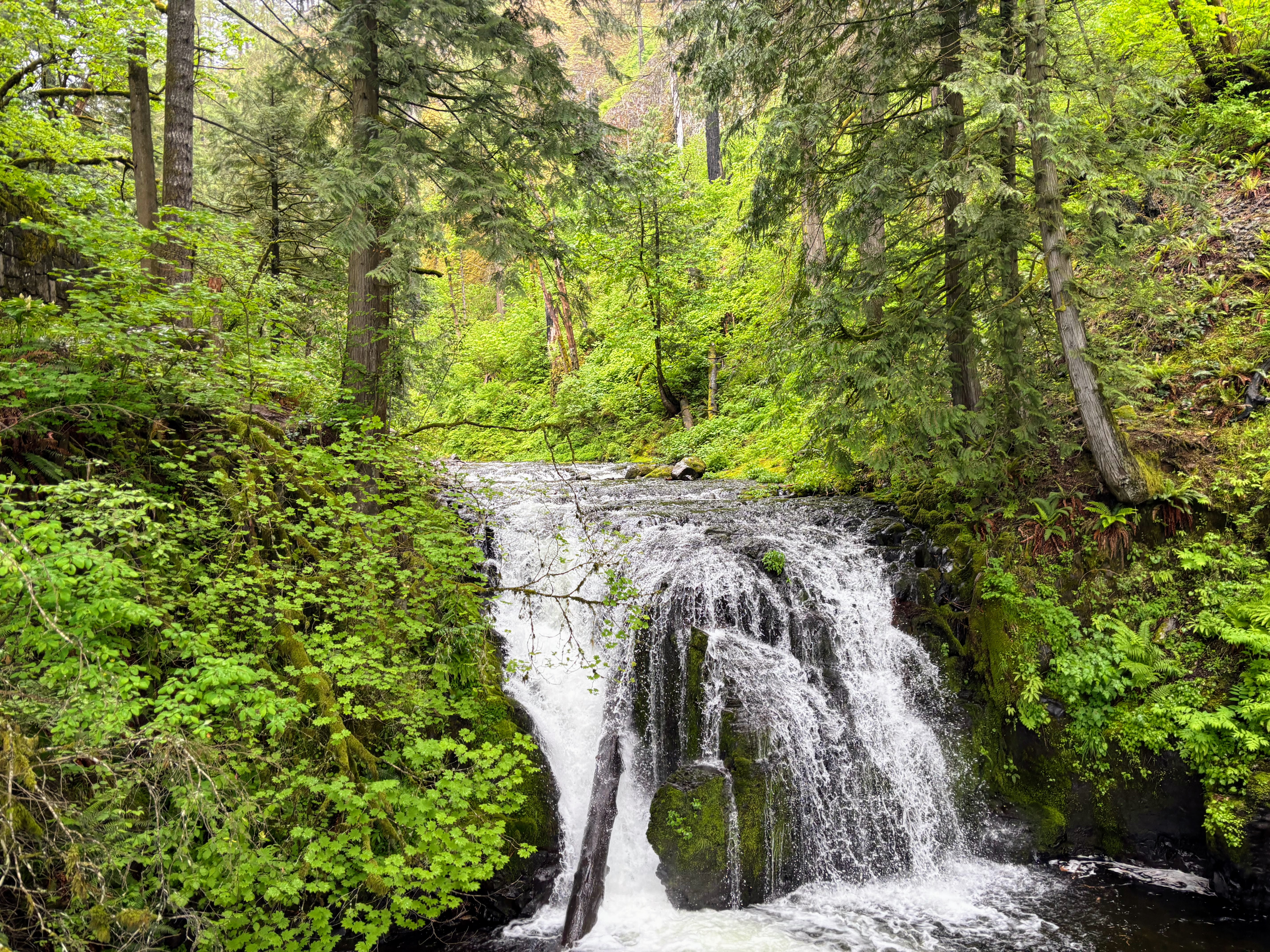 Multnomah Falls, Oregon